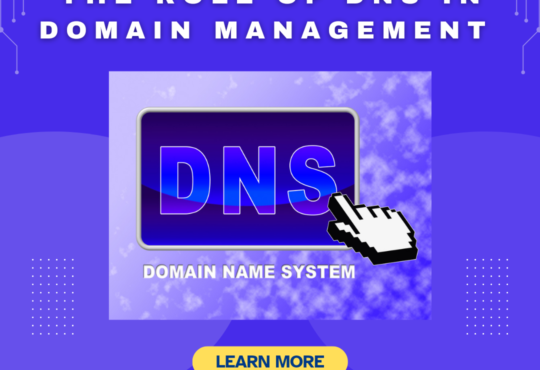 The Role of DNS in Domain Management