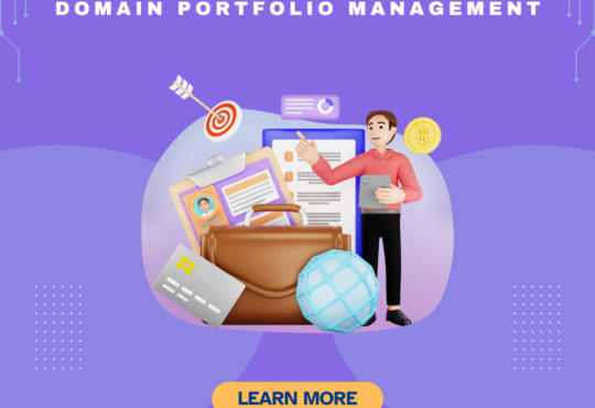 Domain Portfolio Management